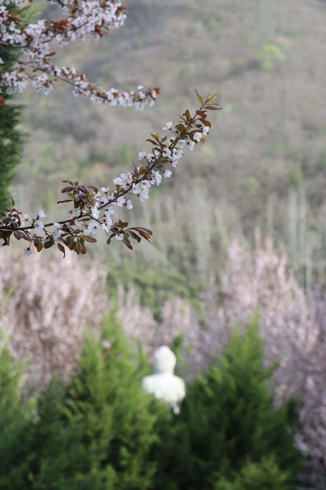 寿阳山——最美的人生后花园